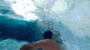 小僵尸射飞鸟
