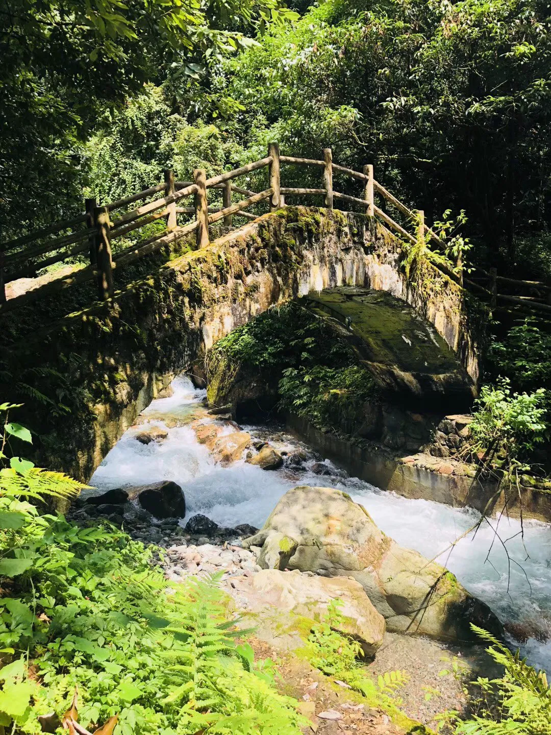 守卫木鱼