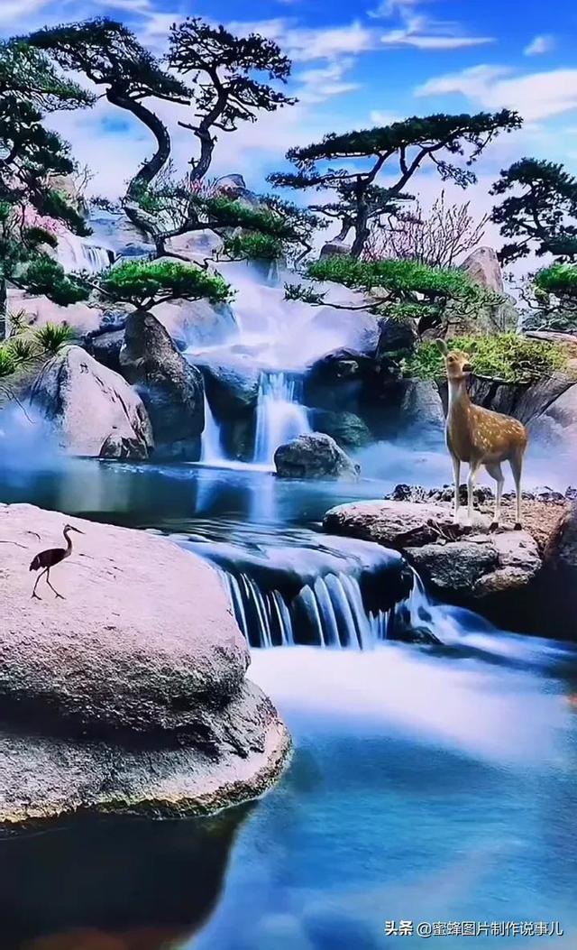 蓝狐视频