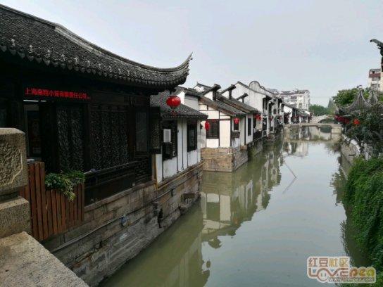 杨紫新剧势头很猛!开播7天夺周榜第1,演员阵容非常独特